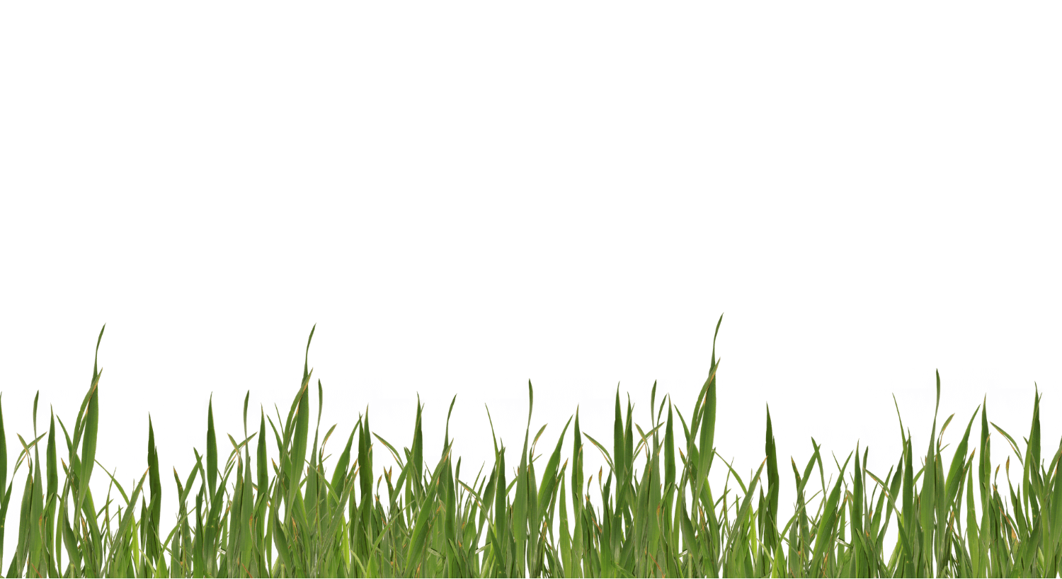 Crowd Overlay