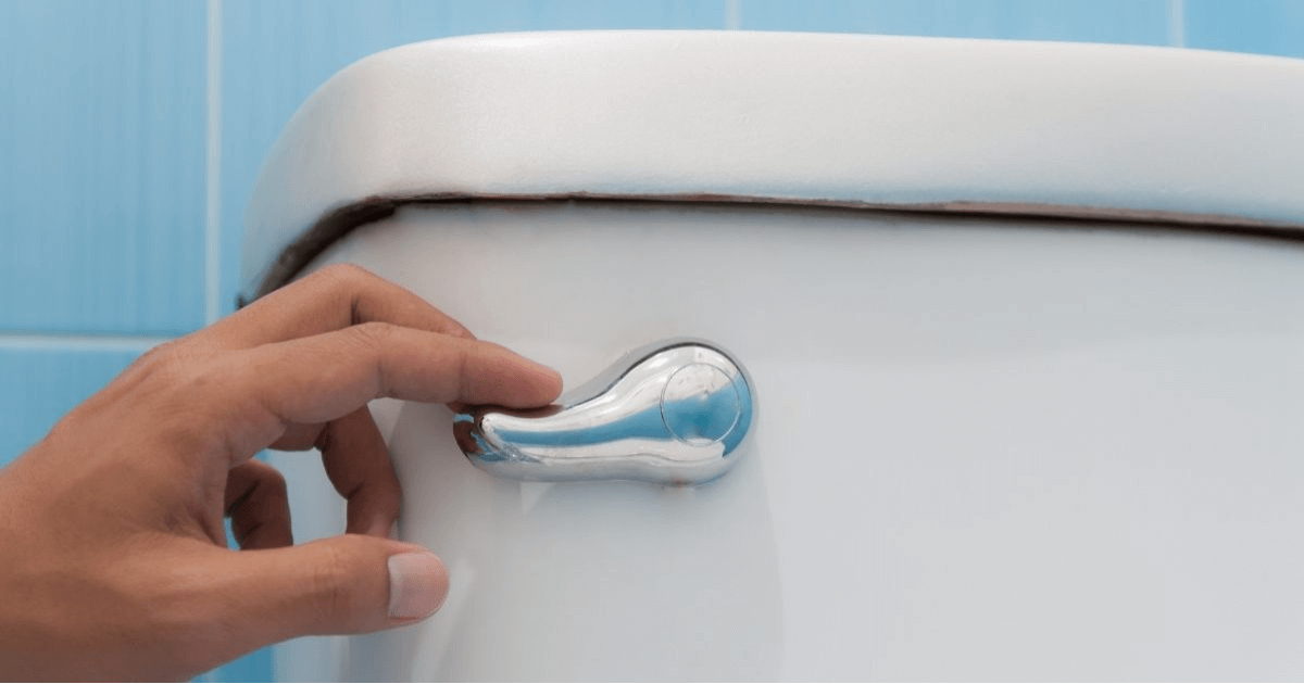 6 Things That Are Dangerous To Flush Down the Toilet - The #FunCrew of ...