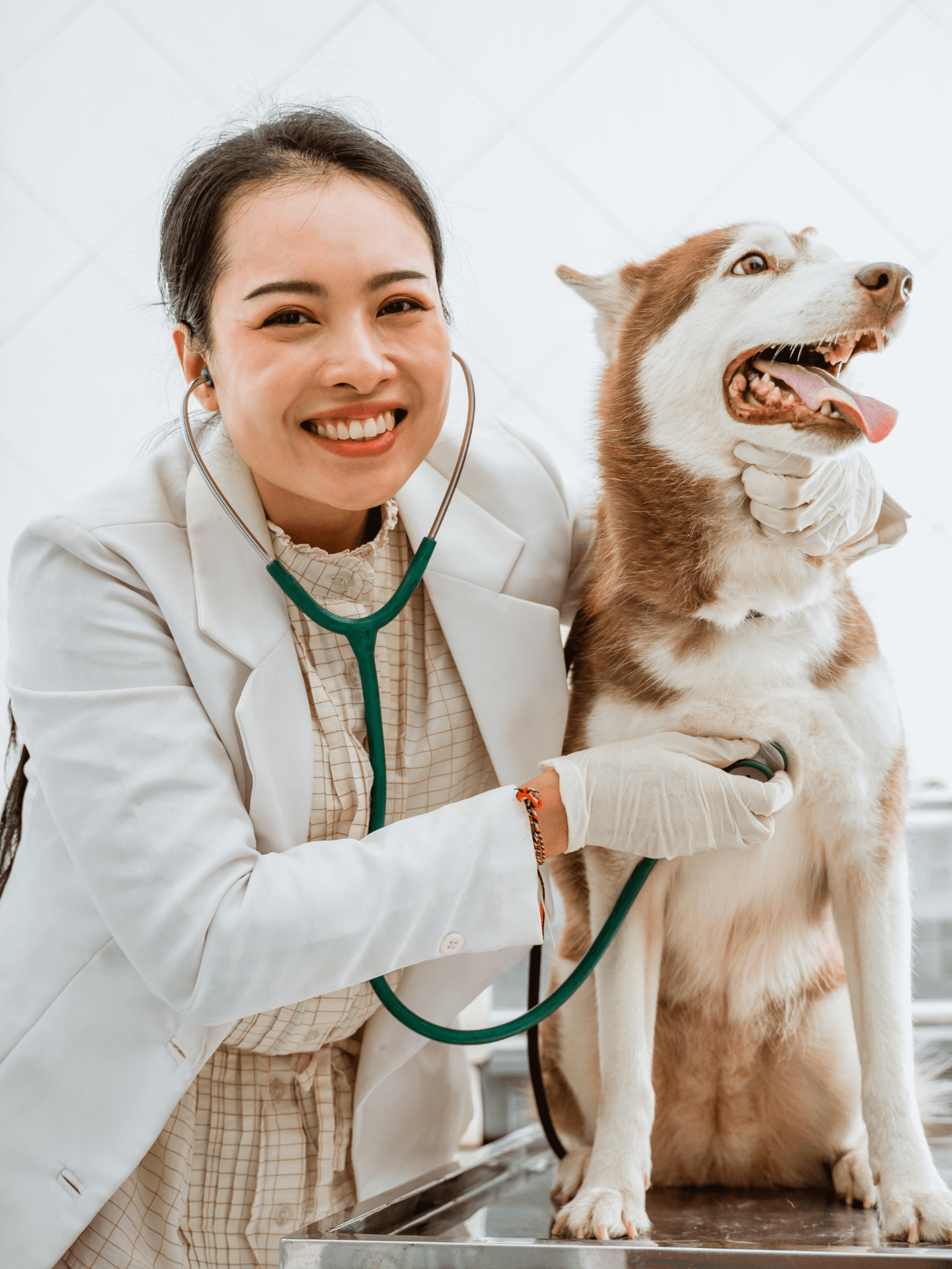 Pet Services